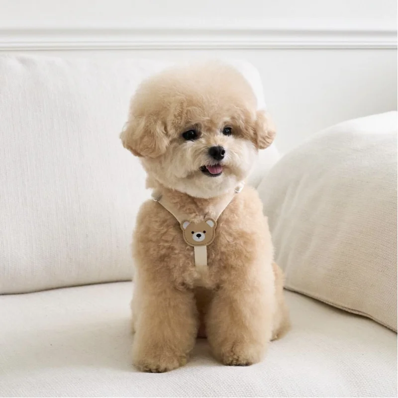 

South KoreainsCute Leather Soft and Durable Chest and Back Suit Teddy Bichon Frise Cat and Dog Go out Hand Holding Rope