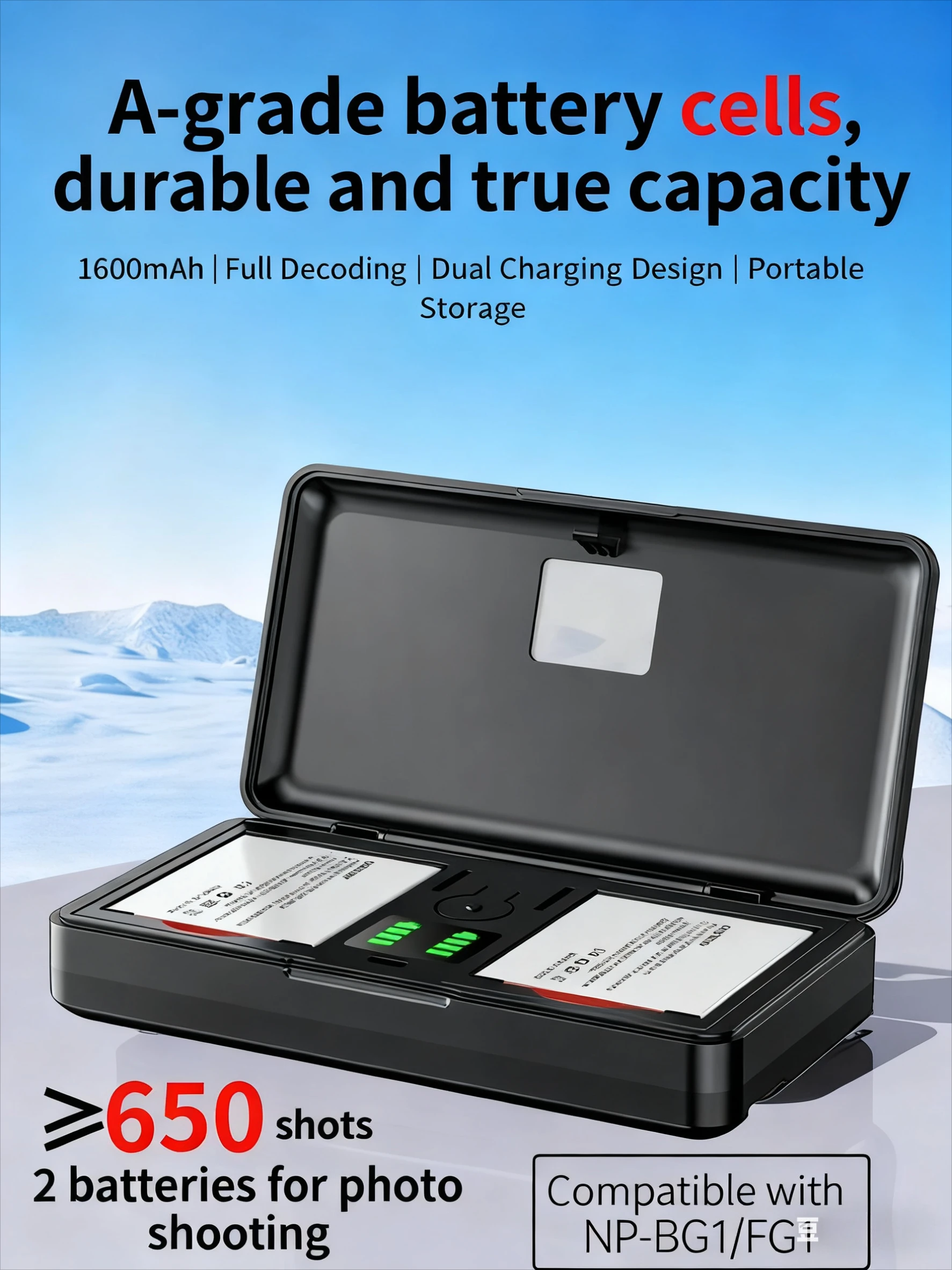 NP-BG1 NP-FG1 Batte… - image