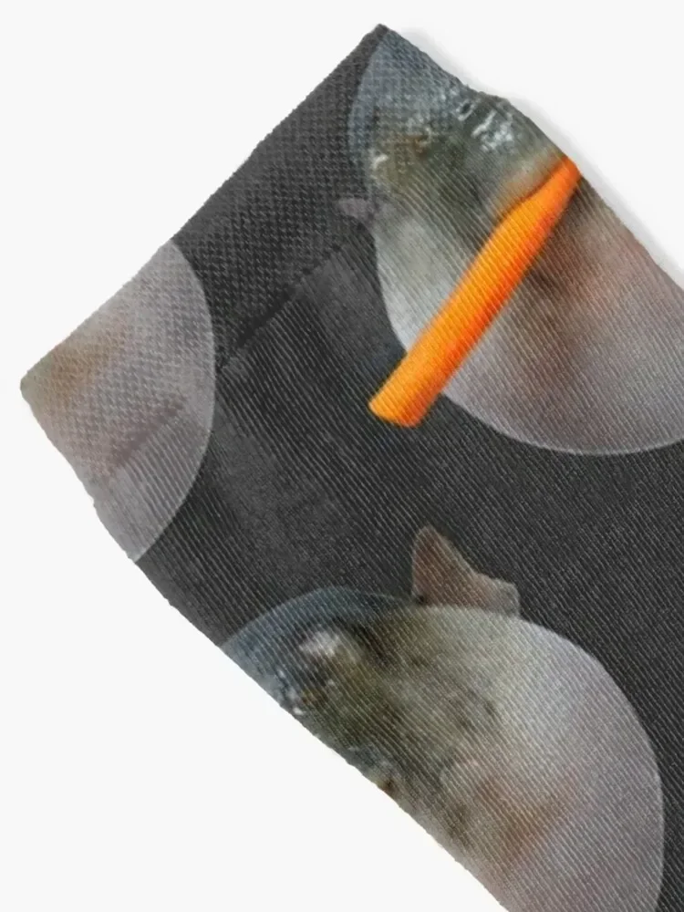 Pufferfish Eating Carrot Meme Socks new in's essential custom Woman Socks Men's