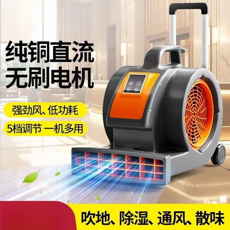 

Blower dry bathroom cooling pure copper brushless high power