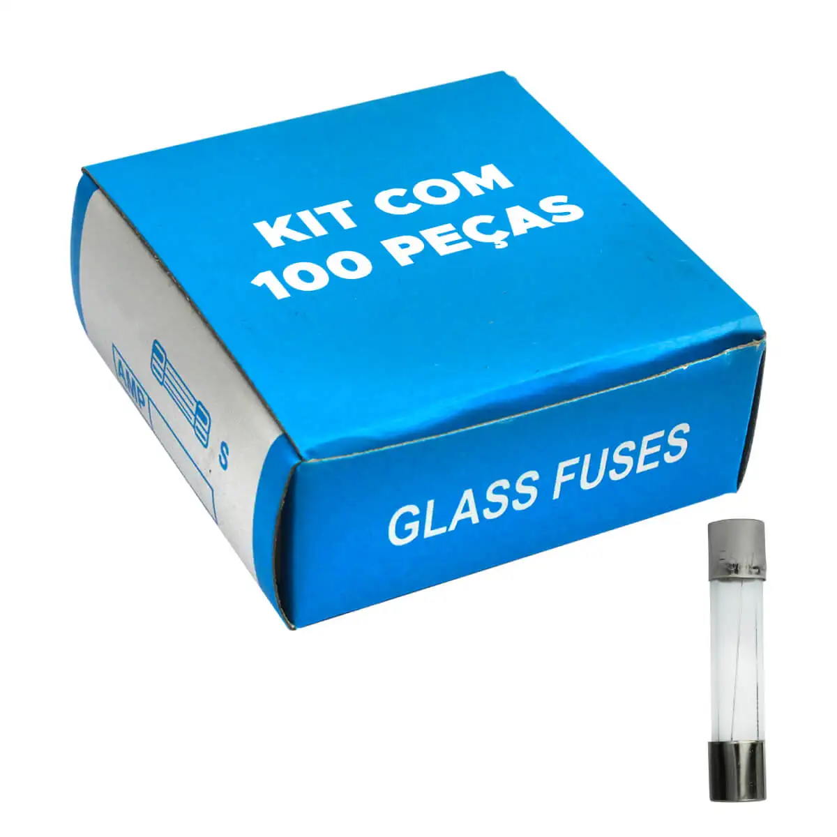 100X6x30 Large Glass Fuse Kit With 100 Pieces 6 Amp