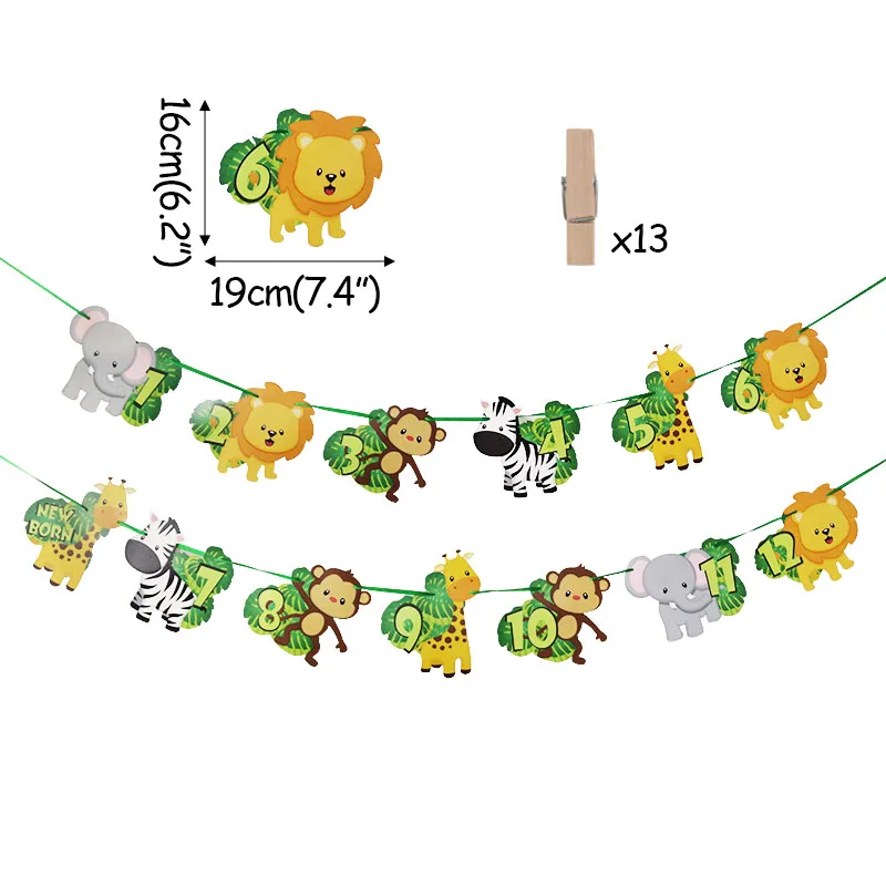 Jungle Animal Monthly Photo Banner Wild One Safari First 1st Birthday Party Decoration for Newborn to 12 Month Milestone Garland