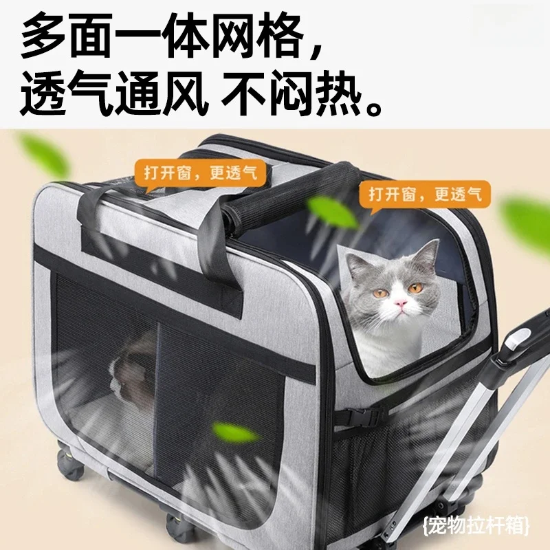 Pet trolley case Multi-cat suitcase Small dog dog going out bag Large capacity