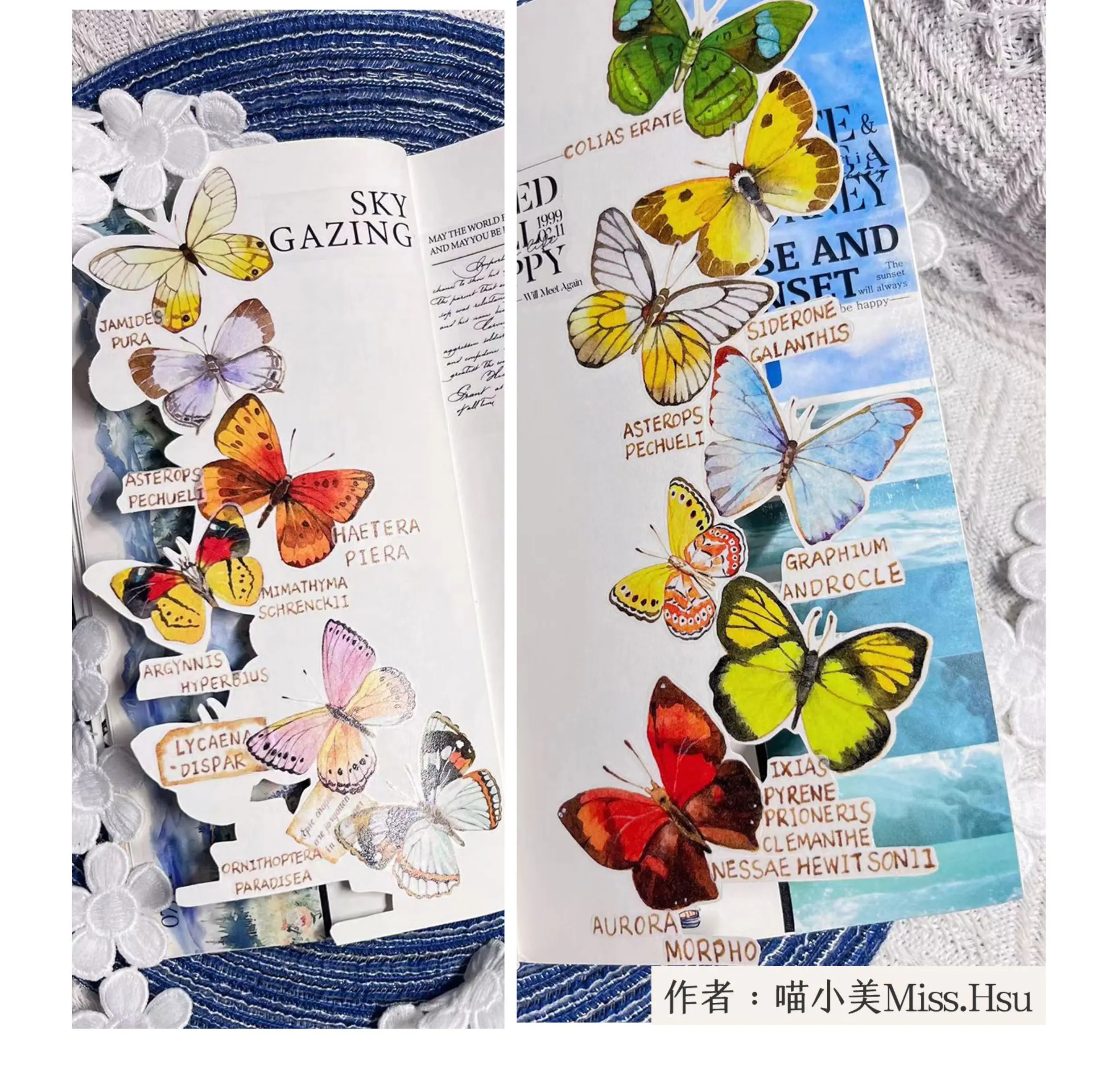 Xing Studio PET اشي الشريط يموت قطع الفراشة التوضيح بلطف الرجعية، فراشة ملصقات الزخرفية للمجلات،