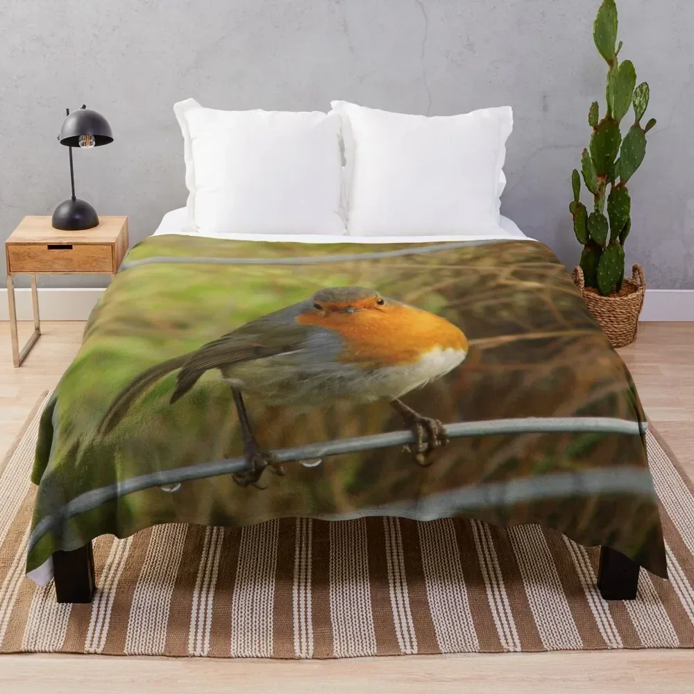 Cute Robin Bird On a Fence Photograph Throw Blanket blankets and throws Single Luxury Thicken Blankets