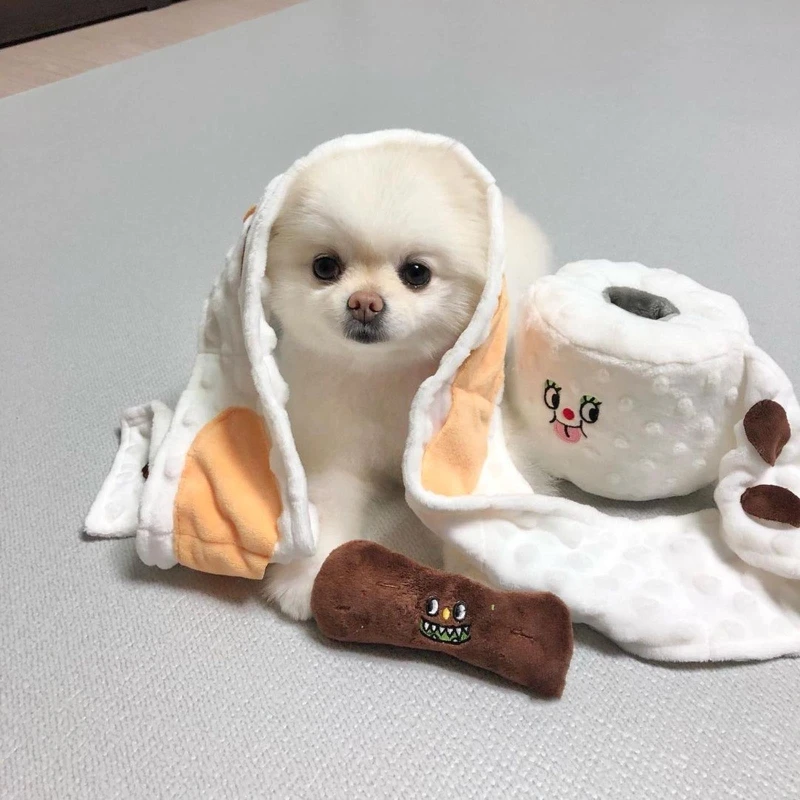 New Ins Simulation Toilet Paper Pet Toy Poop Picking Suit Dog Plush Toy Pet Hidden Food Squeak Interactive Toy Dog Chew Toys