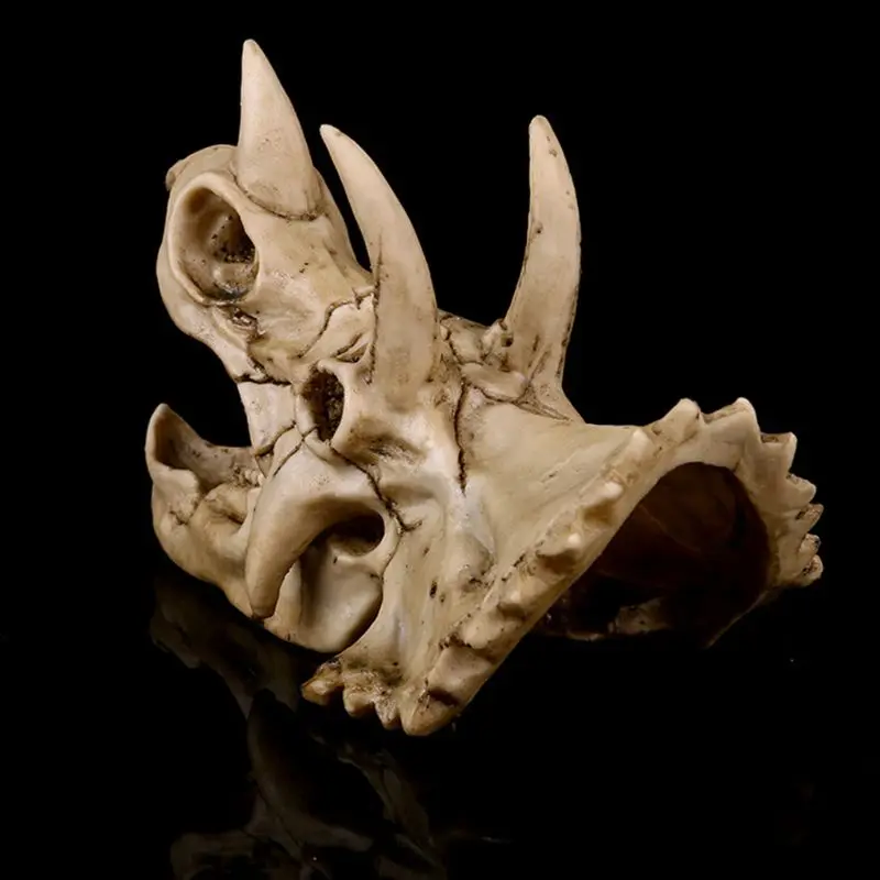 Dropship Triceratops Dinosaur Skull Resin Crafts for Fossil Skeleton Teaching Model Hallo