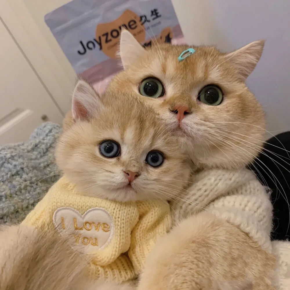 Strumento per auto RC di alta qualità Dispositivo per rimozione lama per motore Nitro 1/8 1/10 Strumento per hobby RC universale in alluminio # 107030HPI