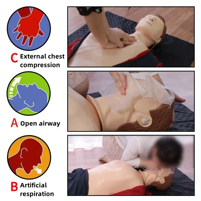 CPR Simulates Human Hemibody Medicine With First Aid Fake Artificial Respiration Training Press Human Model Teaching Demonstrate