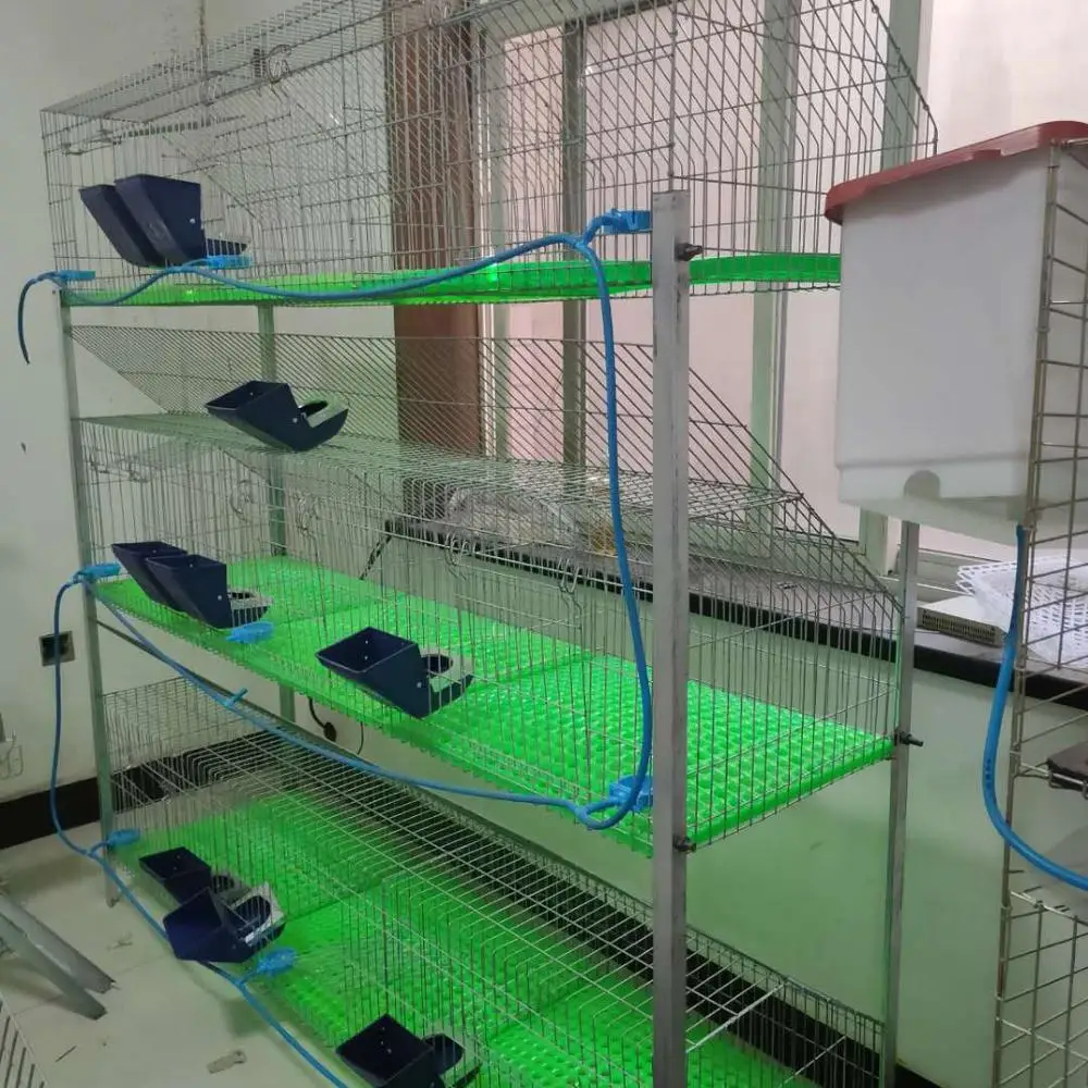 New Arrival ! Factory Price Breeding Rabbit Cage With Nest Box Hanging Outside/rabbit Cages Breeding For Sale