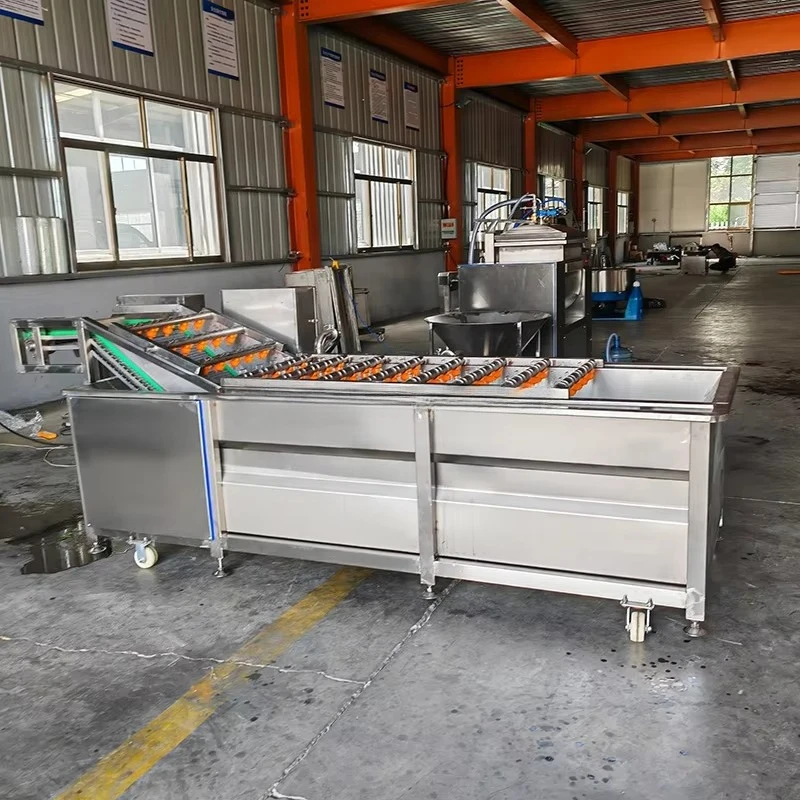 Customized Continuous Bubble Washing Production Line Automatic Cleaning Conveying Integrated Equipment For Food Processing