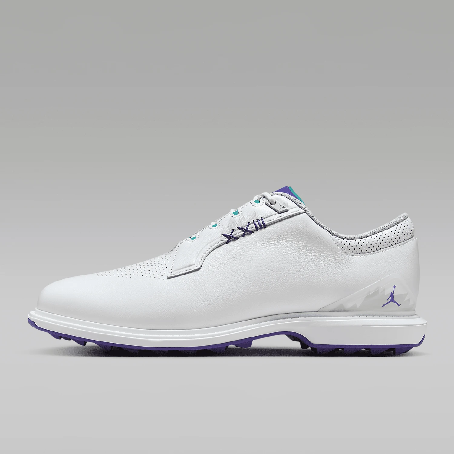 Nike Authentic Jordan ADG 5 W Men's Sports Golf Shoes FQ7874-100
