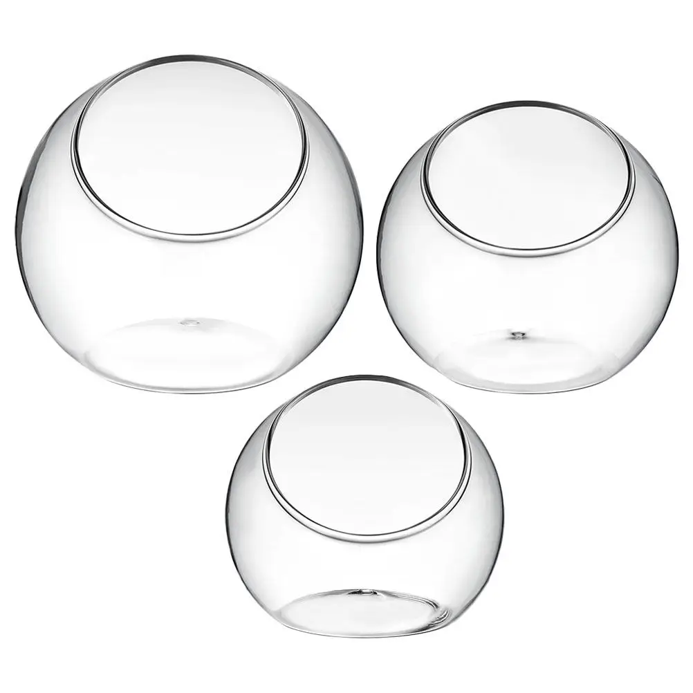 

3Pcs Glass Terrarium Plant Display Smooth Surface Modern Slant Design Tabletop Succulent Air Planter for Home Party Decoration