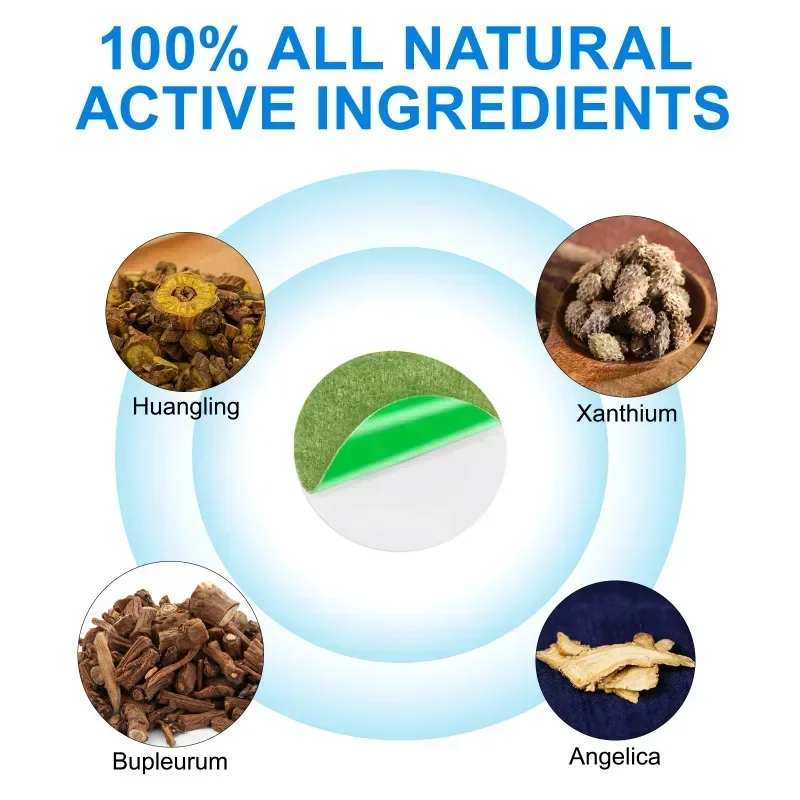 12/24 قطعة من رقع تخفيف طنين الأذن للأذنين من الأعشاب الطبيعية تخفف الأذن وتحسين السمع وتعزيز الدورة الدموية