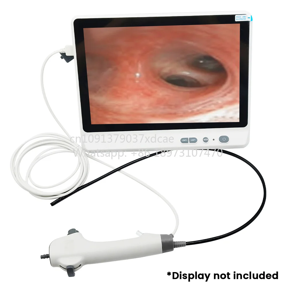 2026 NEW Sinohero Veterinary Endoscope Bronchoscope Nasopharyngoscope 3.8mm Handheld Flexible Endoscopy For Animals