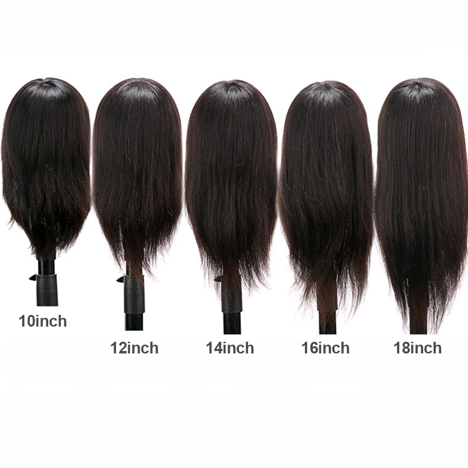 100% Human Hair Wig Mannequin Head With Hair for Braiding Cutting Practice  Training Mannequin Dummy Heads for Hairdresser Salon