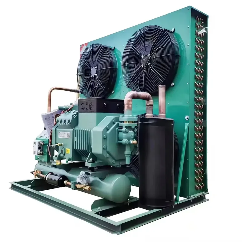 Industrial Compressor Air Cooled Condensing Unit High Efficiency Refrigeration Cooling System for Cold Room & Commercial