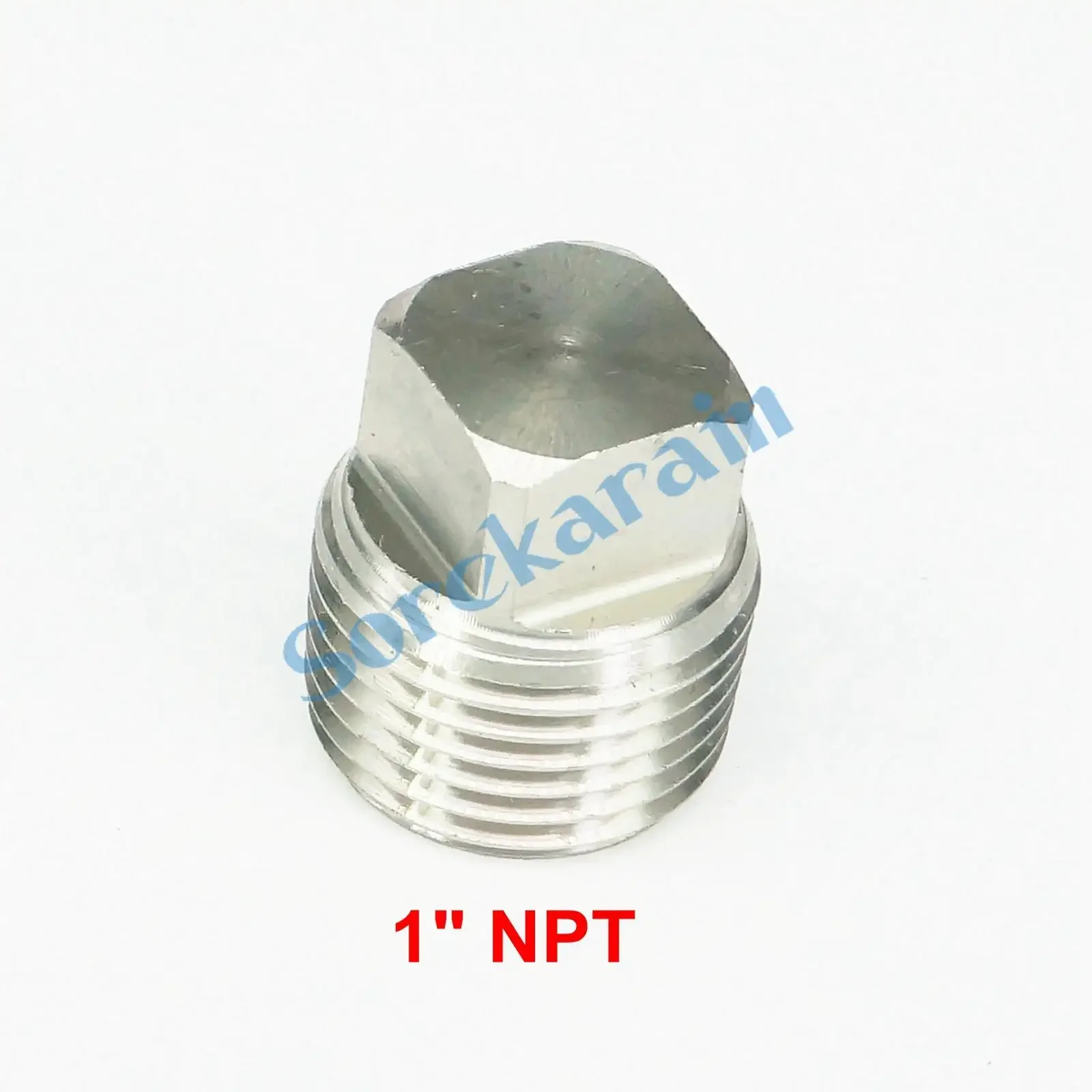 3000 Psi 1 "Npt 304 Rvs Hex Hoofd Plug End Cap Water Gas Olie