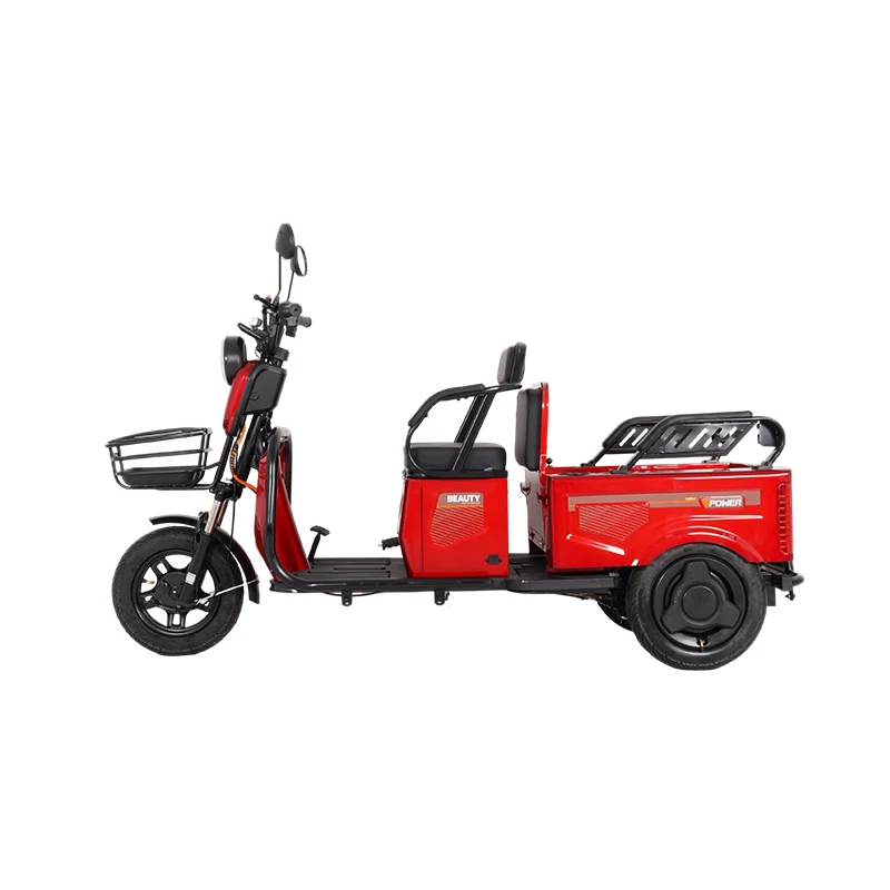 800W 1000W Electric Tricycles 3 Wheel Electric Cargo Bike Small Scooter Three-seat Adjustable Electric Tricycles
