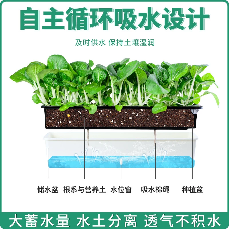 

New Oulinze Self Watering Long Rectangular Narrow Plastic Planter for Home Balcony Vegetable Flower Growing Lazy Garden Pot