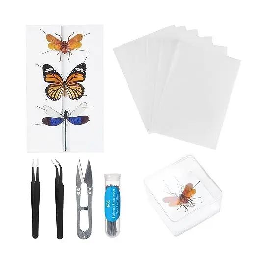 

Образец бабочки DIY Craft Kit, булавки для насекомых, доска для разбрасывания, витрина, набор инструментов для коллекции энтомологии