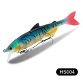 HS004