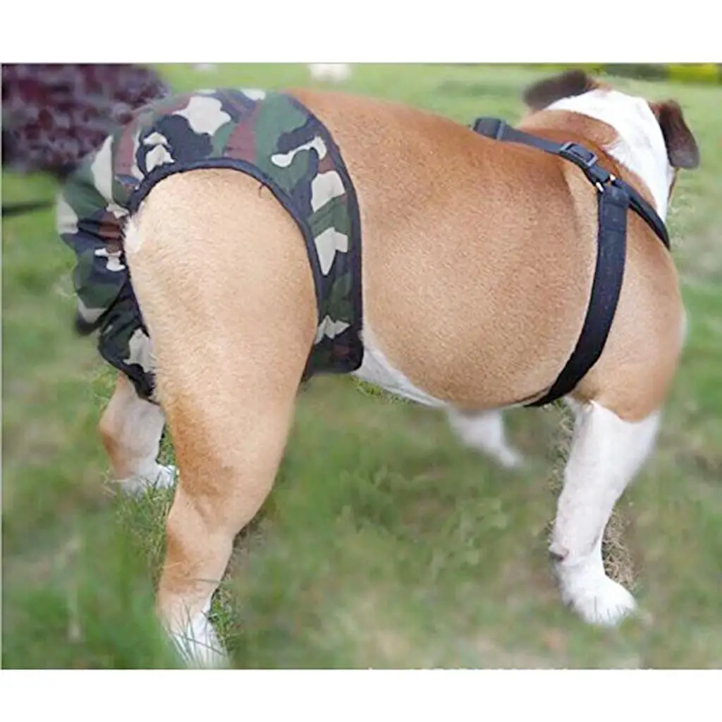 Cotton Pet Physical Pant - Female Dog Nappy Diaper, Size M & XL 2 Colors