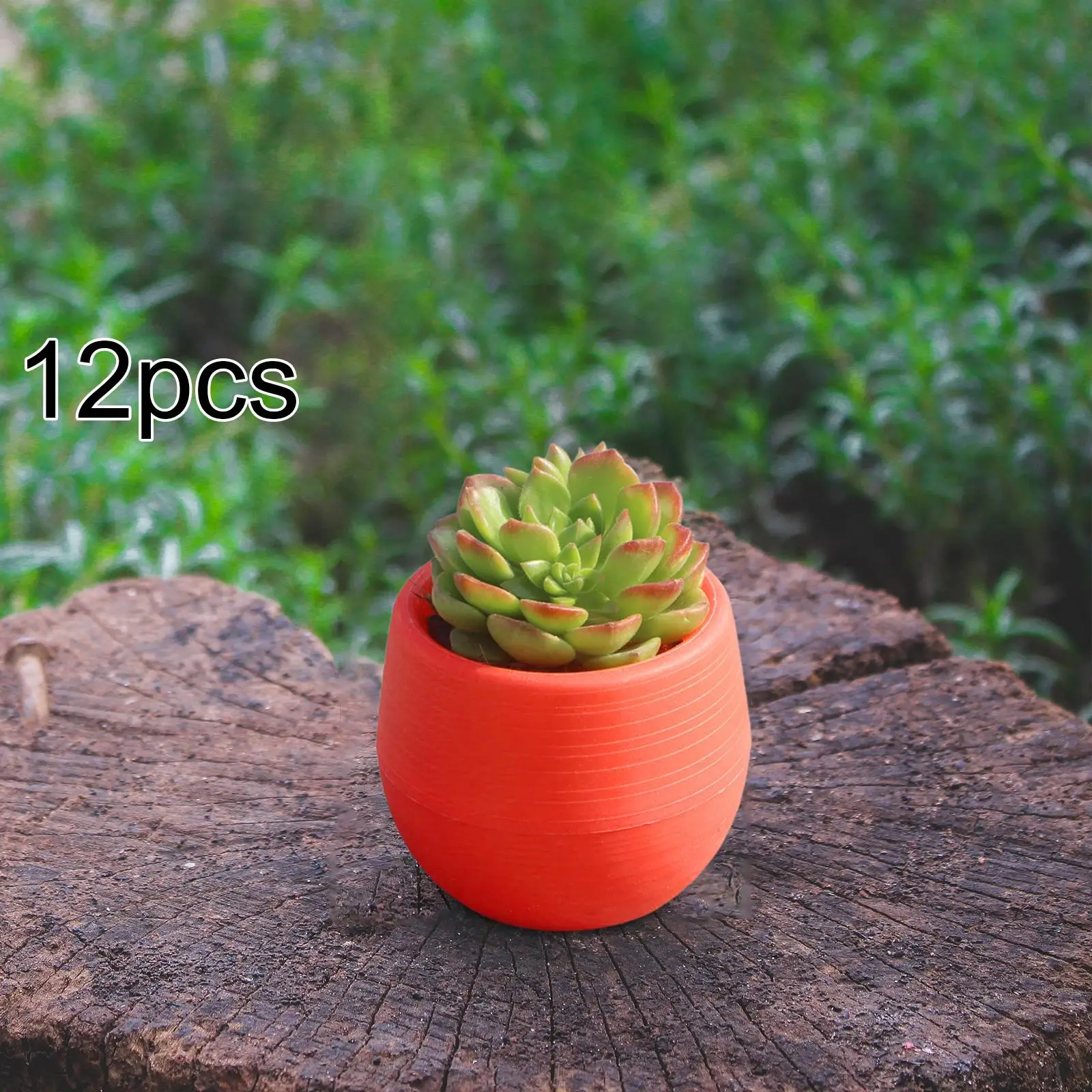 12x Small Flower Pots Simple Multifunctional Containers Plant Pots for Balcony Courtyard Garden Indoor Outdoor Plants Decoration