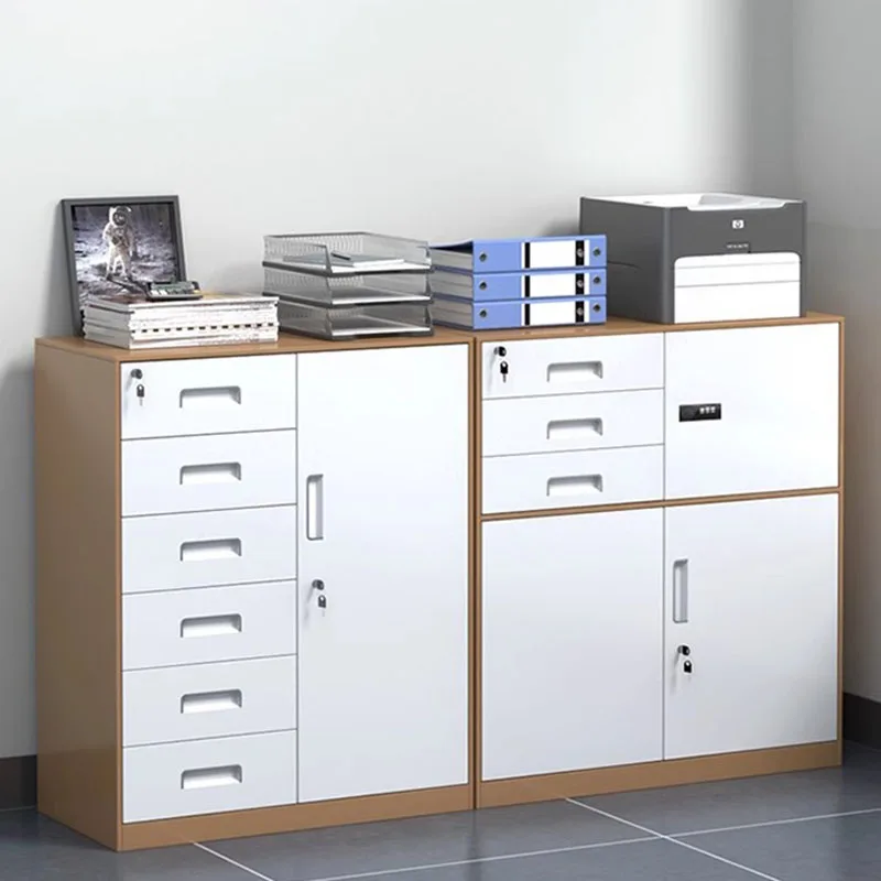 Medicine Office Cabinets Drawers Folders Safes Document Organizer File Folder Arcade Cuaderno Archivador Office Furniture