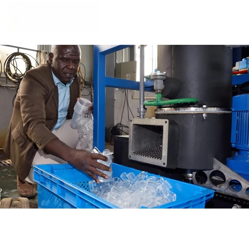 High Quality 1 2 5 10 Tons Tube Ice Machine Low Price Hielo En Rolito for Food Drink and Restaurant Customized