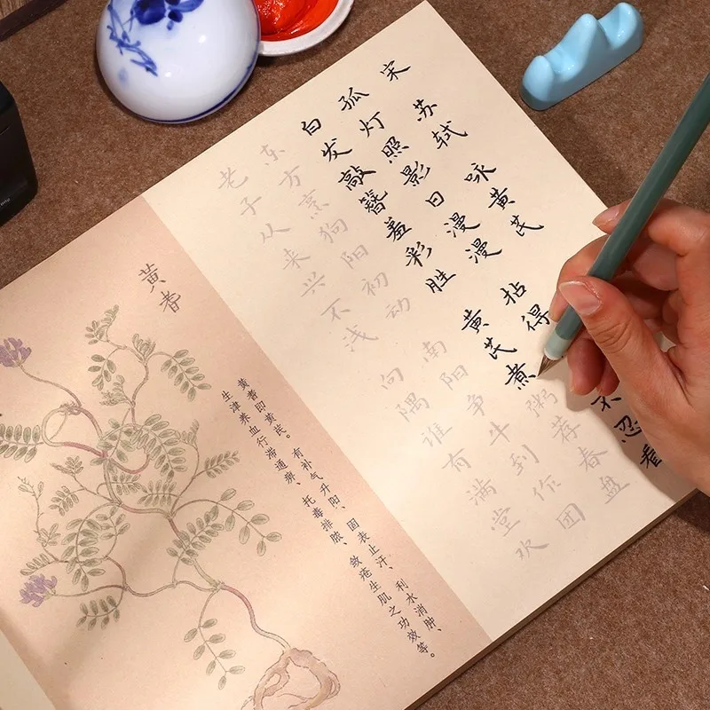 60 Page Chinese Semi-Raw Xuan Paper Copybook - Xiao Kai Calligraphy & Poetry Practice For Chinese Materia Medica