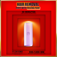 Painless IPL Hair Removal Device Permanent Laser Epilator With Ice Cooling For Women Body Bikini Facial Home Use Treatment