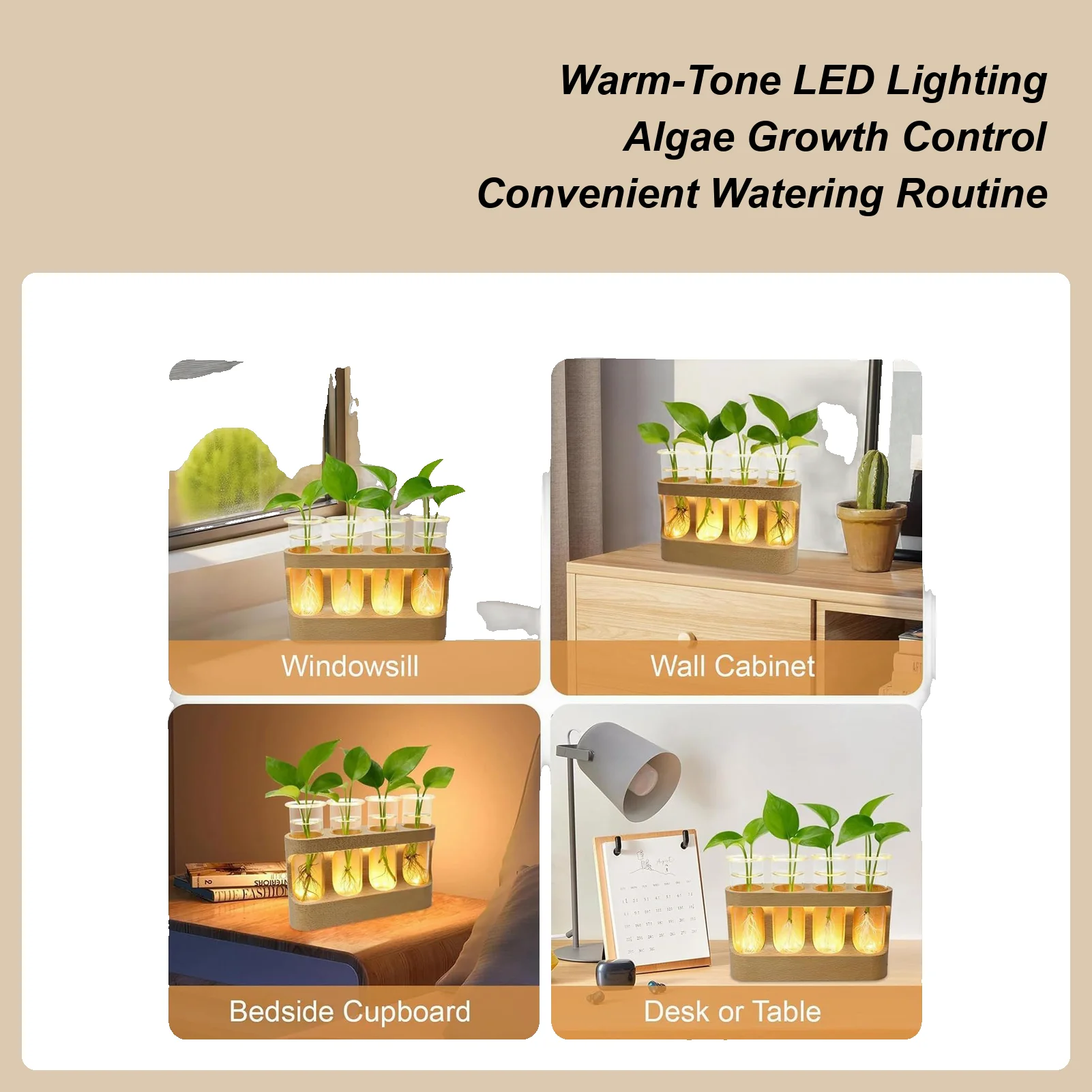 

Propagation Vase Decorative Hydroponic Terrarium Glass Planter Vase For Hydroponic Plants For Men Women Youth Teens Seniors