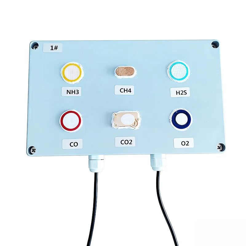 Fixed Wall Mounted Multi-Gas Detector 4-20mA NH3 CH4 H2S CO CO2 O2 with Digital Screen High Accuracy for Oil Chemical Plants