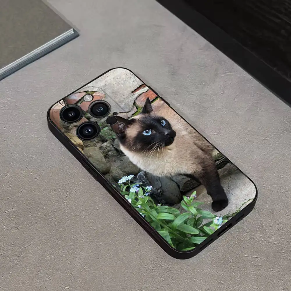 حافظة هاتف لطيفة على شكل قطط S-سيامية لهاتف آيفون 17,16,15,14,13,12,Pro,Max,Plus,E,SE4,Air,غطاء ناعم أسود صغير #6