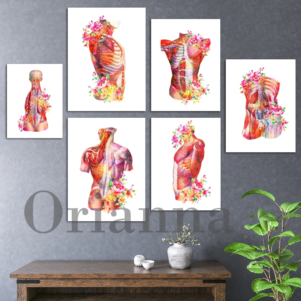 Body Muscle Anatomy Watercolor Art Medical Poster Muscular System Nervous System Chart Clinic Wall Decor Surgeon Office Decor