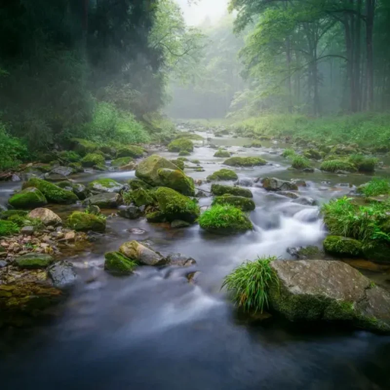 

iFlight XING-E Pro 2306 1700KV 2450KV 2-6S Brushless Motor 4mm Titanium Shaft 5-6inch Props for FPV Racing Models