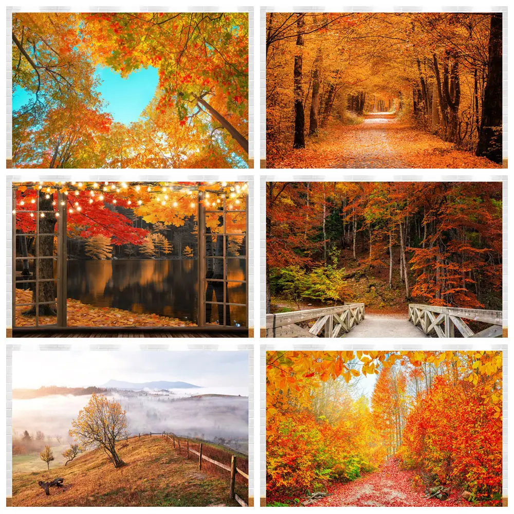 

Autumn Landscape Yellow Leaf Photography Background Nature Scenery Mountain Lake National Park Fall Falling Leaves Backdrop