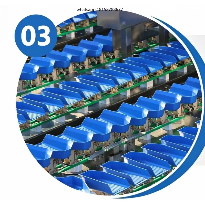 Industrial Fruit Vegetable Sorting Grading Machine