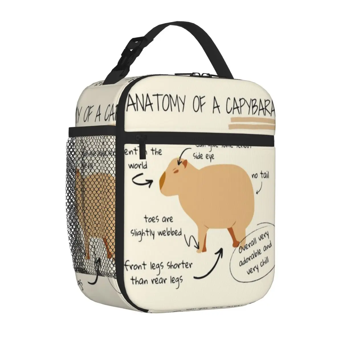 Bestselling Anatomy Of A Capybara Plain Design Thermal Lunch Bag Outdoor Picnic Thermal Tote
