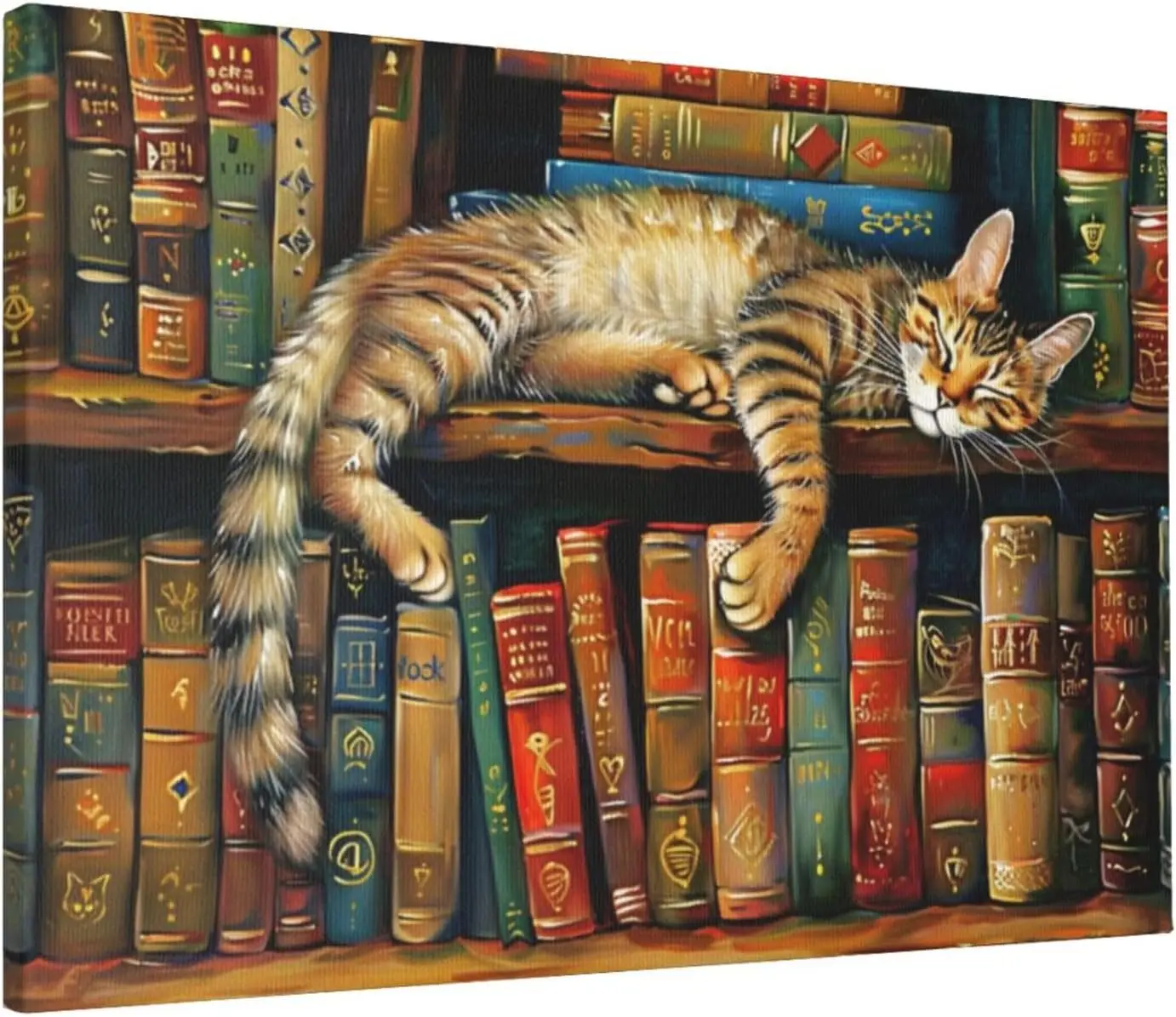 MA6GE8DE Canvas Paintings For Study The Sleeping Cat On The Bookshelf,Home Study,Campus Library,Cafes Wall Decor Art Prints,Clas