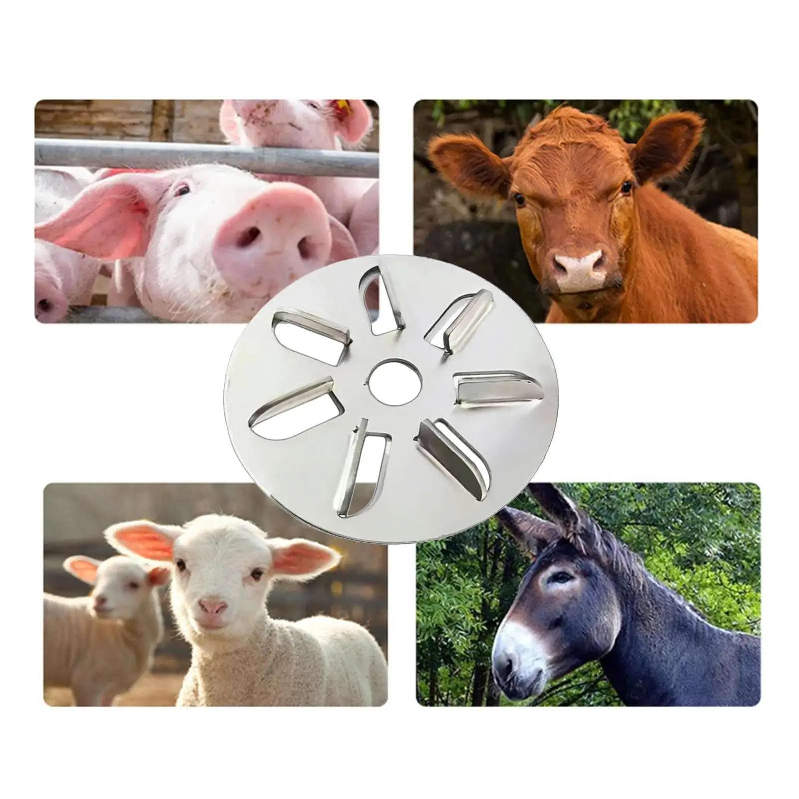 Pig Hair Scraper Disc Steel Efficient Hair Remover Shaving Tool for Family Workshop Cattle Sheep