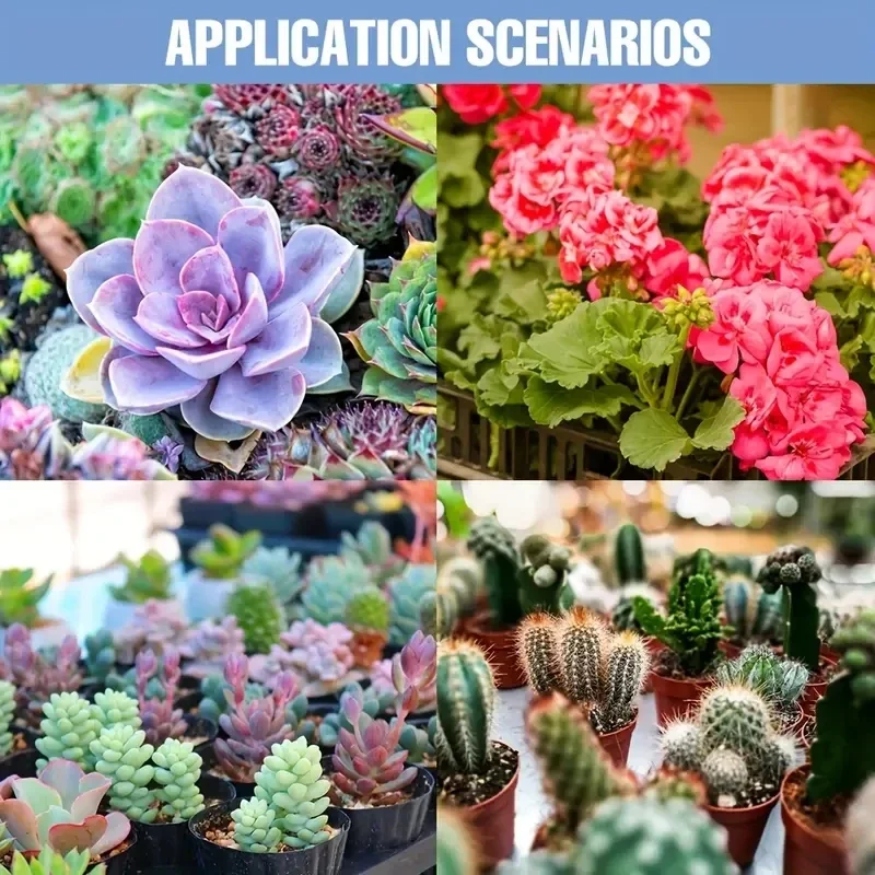 1pc LED Plant Light Cup E27 Red And Blue Light Growth Light Succulent Seedling Planting And Supplementary Full Spectrum Light