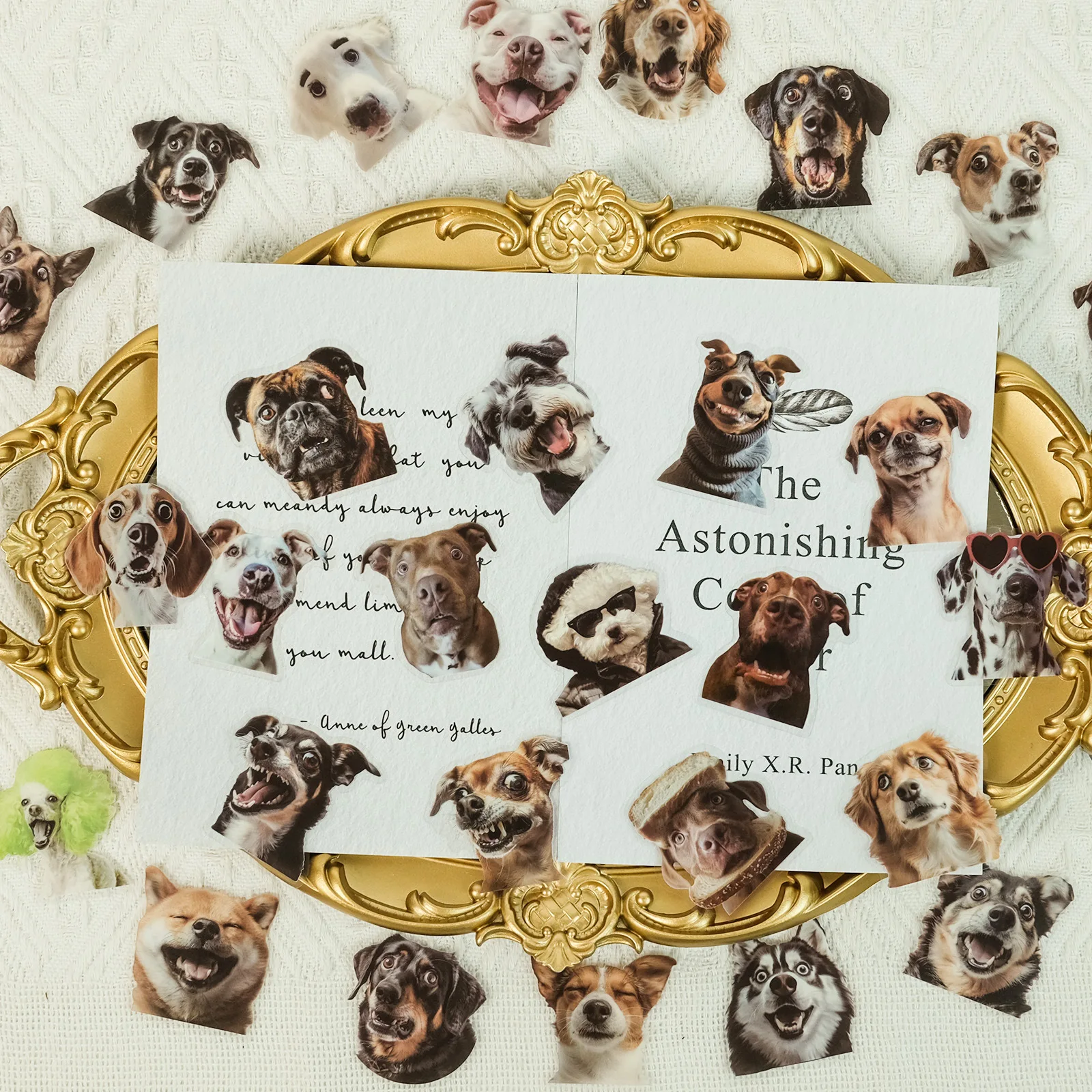 50pcs PET Realistic Dog Expression Pack Theme Handbook Decoration Material Waterproof Transparent Sticker