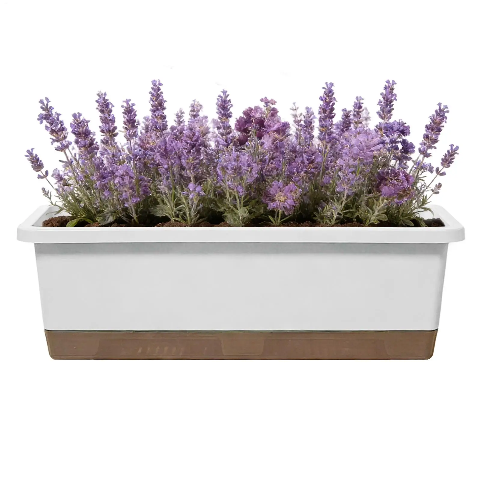 Bottom Watering Pots for Indoor Plants Rectangular Container Vegetable with Base Drainage Hole And Absorbent Rope Rectangular