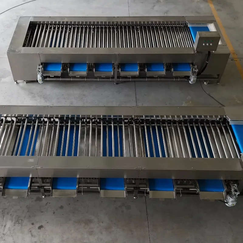 Commercial Automatic Eco-Friendly Fruit Vegetable Sorting Grading Machine Size Roller for Potato Onion Tomato Lychee Kiwi