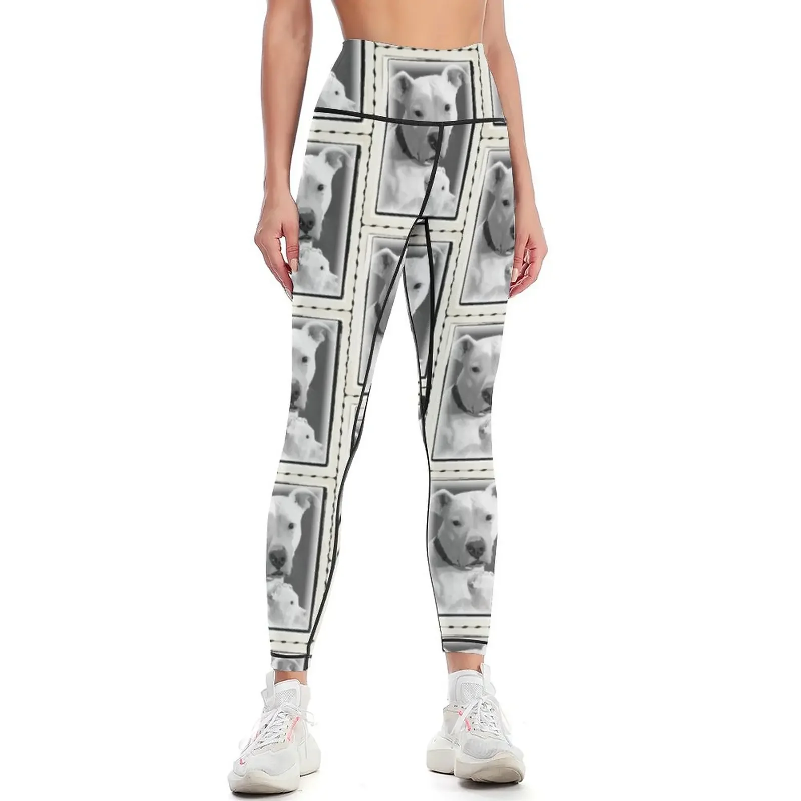 

Pit Bull Leggings Fitness woman Women's sports pants legging pants raises butt Womens Leggings