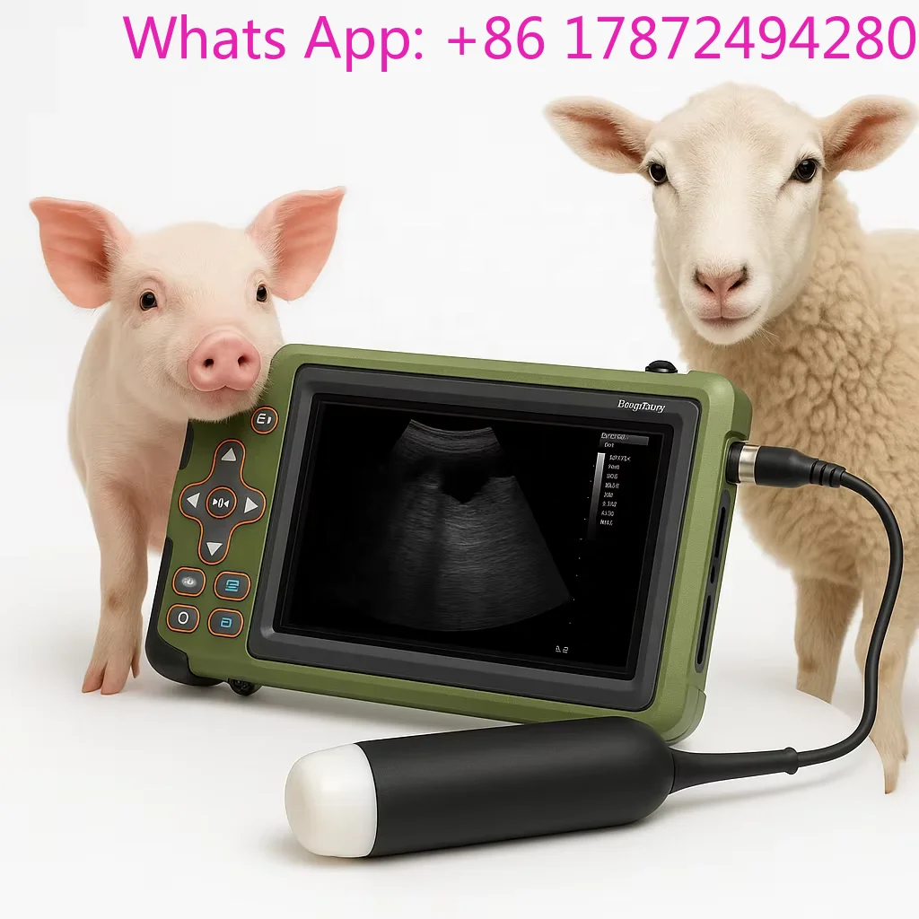 PET Portable Veterinary Machine Equipment for Animal Machine Animal Hospital
