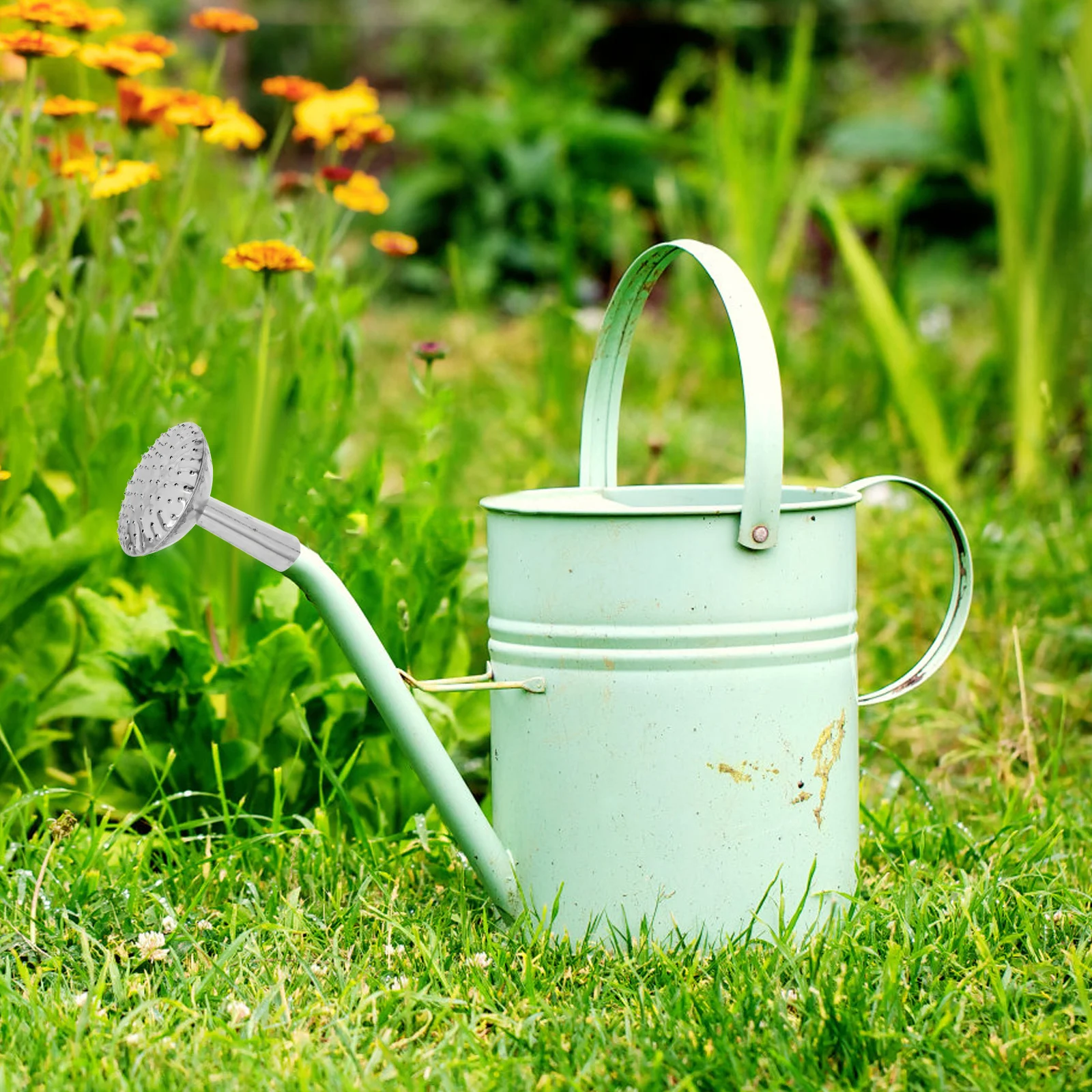 Buse en acier inoxydable pour arrosoir, remplacement de motif de pulvérisation Fine, accessoire de tuyau d'arrosage pour plantes d'intérieur et d'extérieur