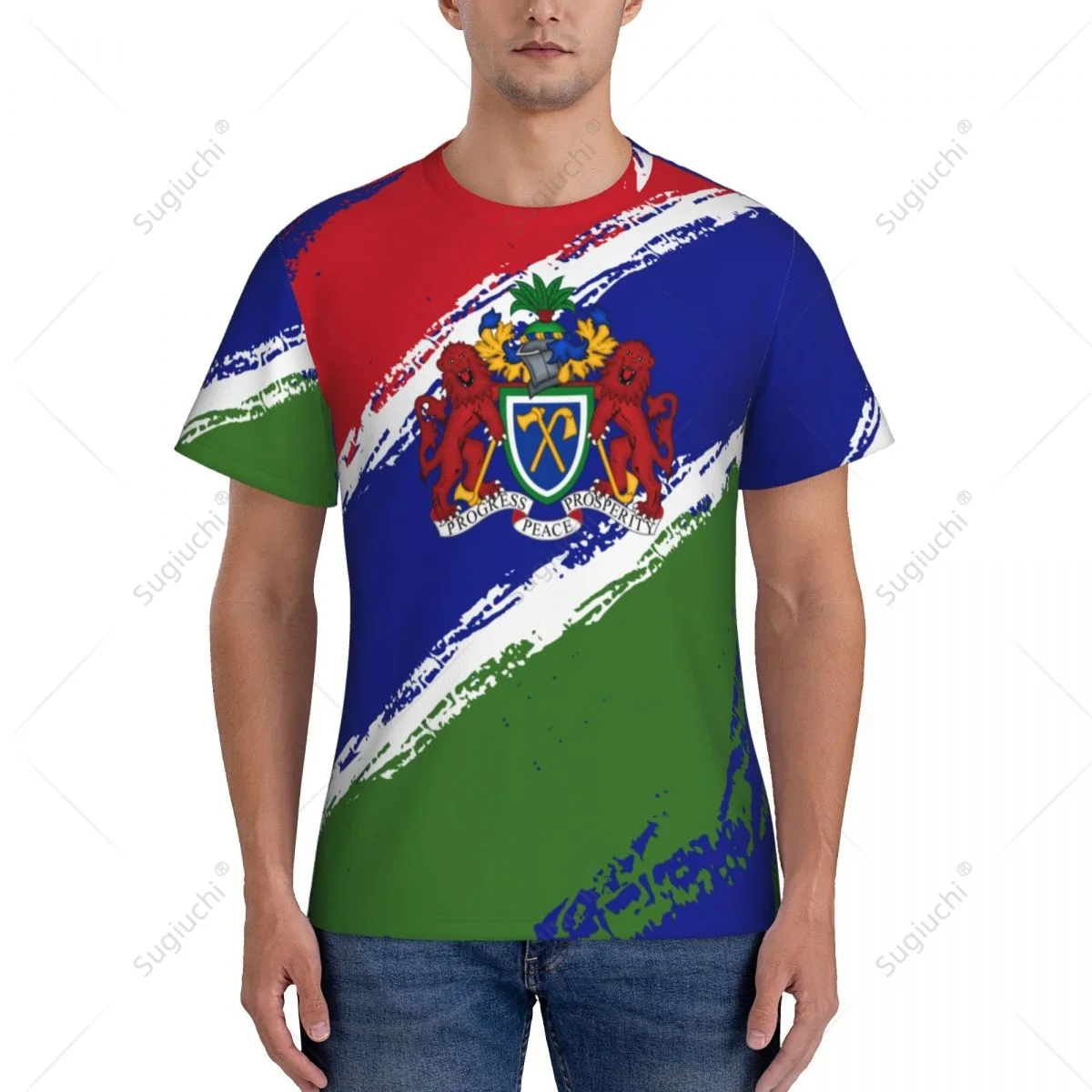 Custom Name Nunber Gambia Flag Color Men Tight Sports T-shirt Women Tees jersey For Soccer Football Fans